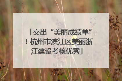 交出“美丽成绩单”！杭州市滨江区美丽浙江建设考核优秀